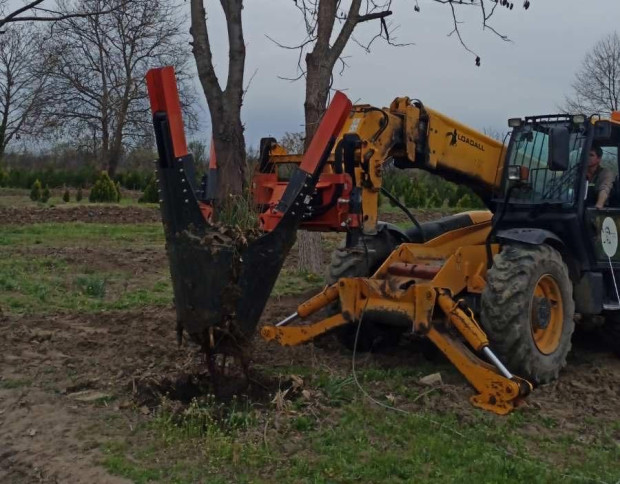 普罗夫迪夫市购买了一台用于移动大树的机器